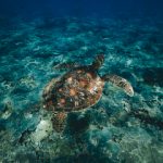 61直播体育:精彩赛事全天候,激情竞技零距离 osprz66