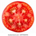 n.288开奖结果正式揭晓,幸运号码震撼公布 k8zdht