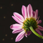 NBA24小时免费直播网:全天候在线观看精彩篮球赛事 w69t8bd7p