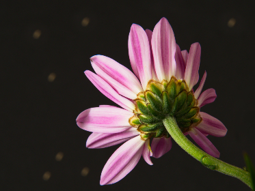 NBA24小时免费直播网：全天候在线观看精彩篮球赛事